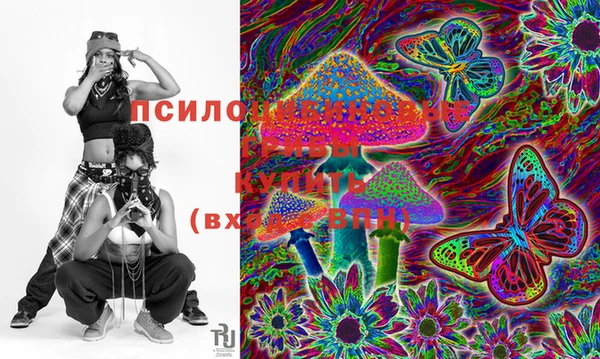 герыч Верея